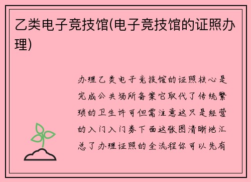 乙类电子竞技馆(电子竞技馆的证照办理)